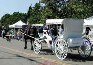 Carriage Ride at Los Alamos Old Days