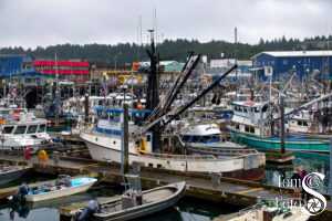 Kodiak fishing fleet