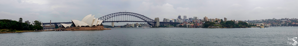 Sydney Harbor Panorama From Royal Botanic Gardens